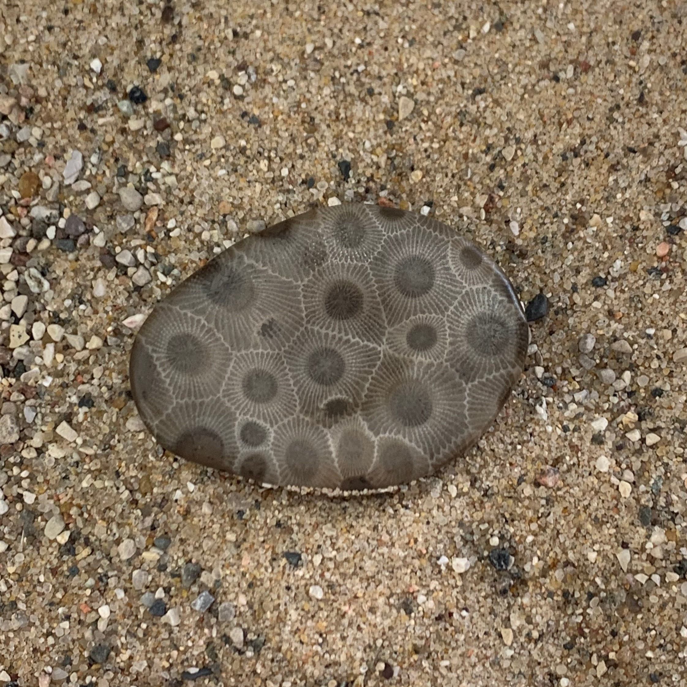 Petoskey Stone Worry Stone - Cadeaux de moins de 20 ans