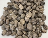 Individual Premium Raw Petoskey Stone - Beach Tumbled - Wedding Favors- Souvenirs - Stone