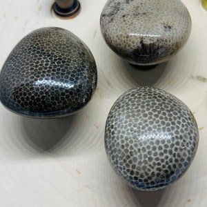 May include: Three decorative cabinet knobs with a unique, textured surface. The knobs have a speckled pattern in shades of gray and black, with a glossy finish. One knob is oval-shaped, while the others are round.