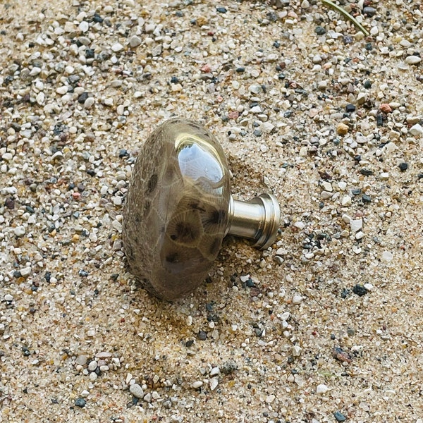 Petoskey Stone Natural Cabinet Knob - Drawer Pull - Kitchen Cabinet Knob - Bathroom Vanity - Decorative Knob