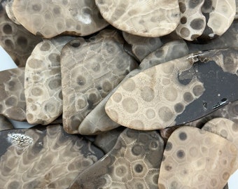 2lbs Petoskey Stone Slabs (A) - Wedding Favors - Decorative Stone