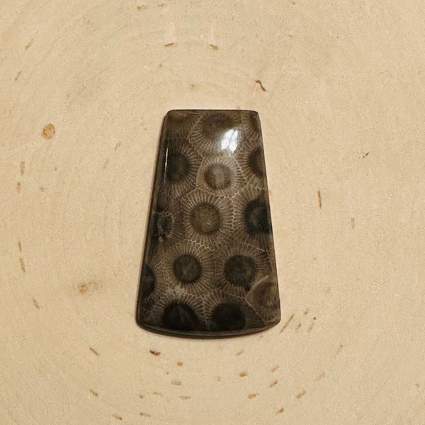 Petoskey Stone Cabochon (L)