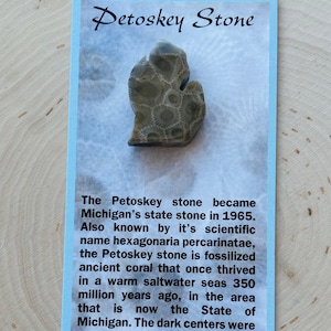 Petoskey Stone Magnet with Souvenir Card