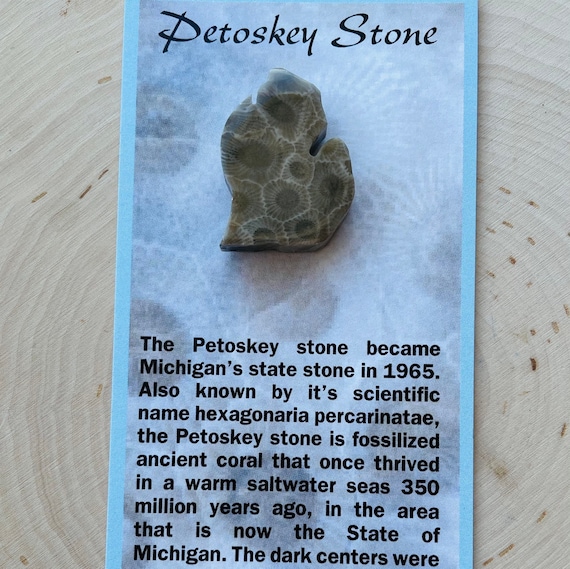 Petoskey Stone Magnet With Souvenir Card Etsy