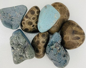 Details about   PACK OF 4 1.5"-2" GRADE A Petoskey Stones Gifts Crafts Wedding Favors Pendants 