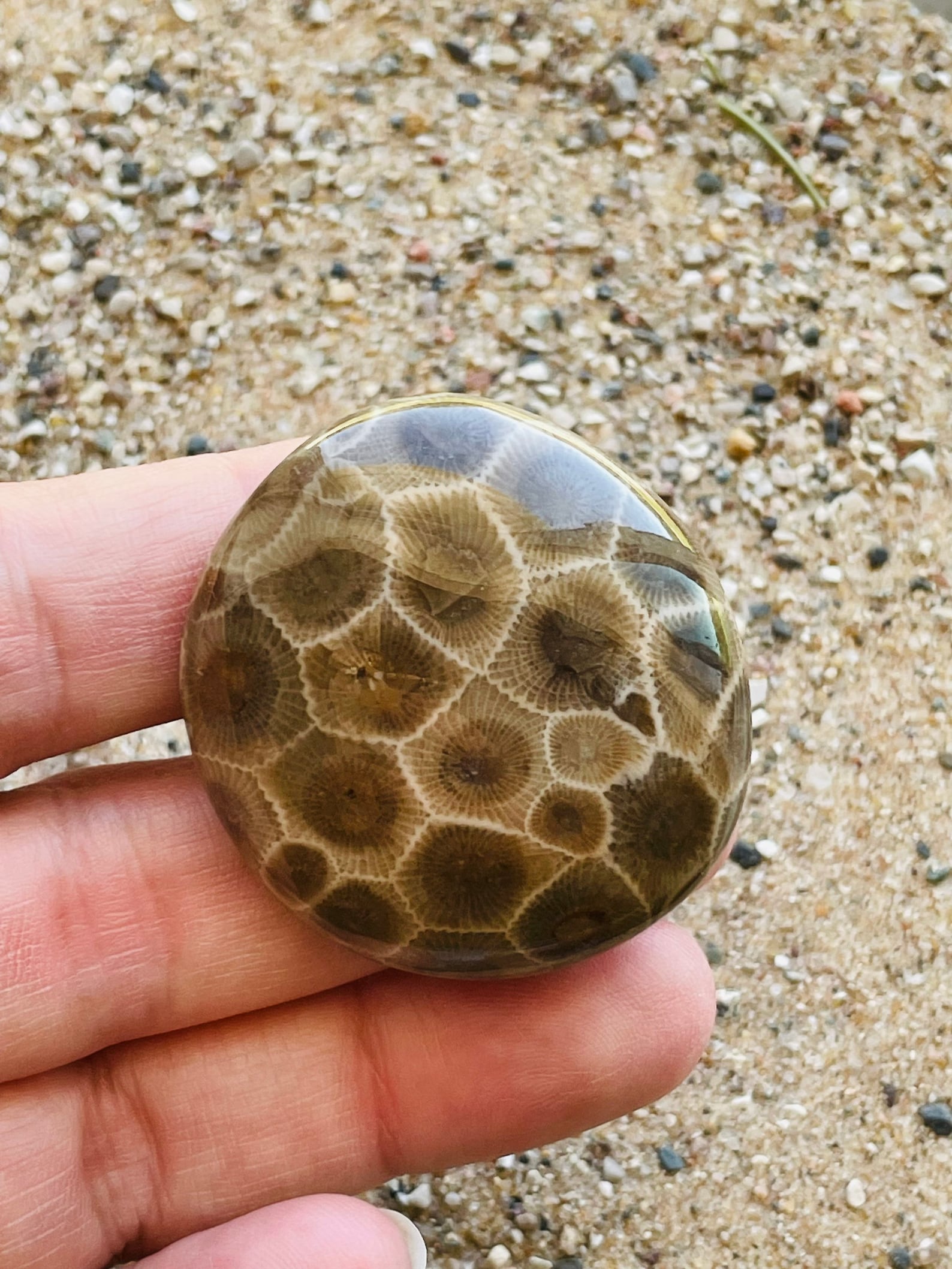 Bouton De Porte En Pierre Naturelle Petoskey – Quincaillerie Unique Fait Main