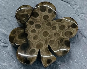 Petoskey Stone Shamrock Magnet.  Medium
