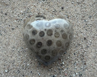 Premium Solid Petoskey Stone Heart (E) - Decorative Stone - Paper Weight