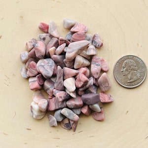 May include: A collection of small, tumbled rhodonite stones featuring shades of dusty pink, grey, and white with natural veining. A United States quarter coin is placed next to the stones to provide a clear visual reference for their size.