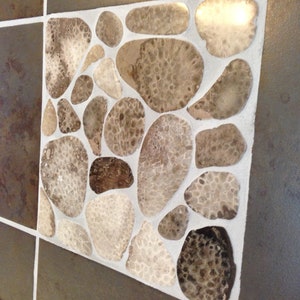 May include: A close-up of a square tile with a mosaic of small, irregularly shaped, brown and white stones. The stones are set in white grout and the tile is surrounded by a brown tile border.
