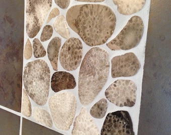 Petoskey Stone Tile