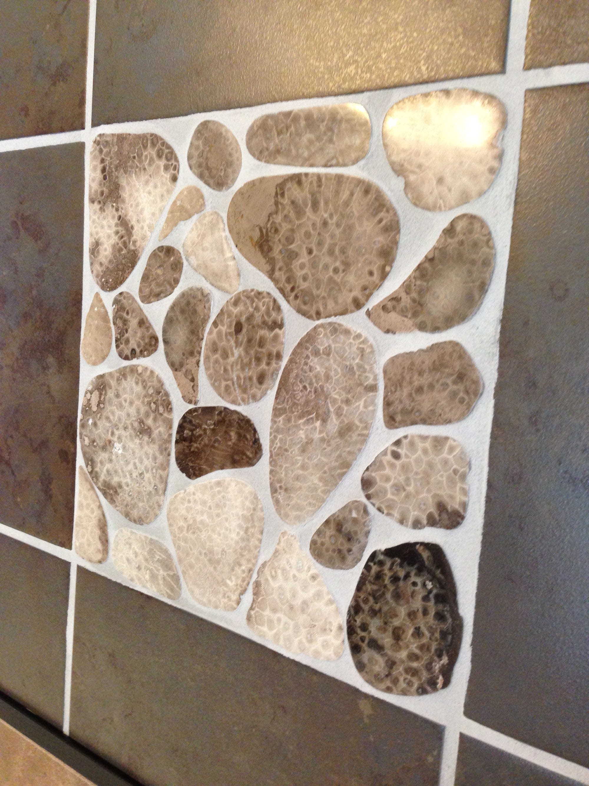 Azulejo de piedra Petoskey - Etsy México, image size:2000x2668