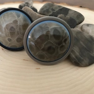 May include: Two round, decorative, silver-toned,  cabochon-style buttons with a light blue border. The buttons feature a fossilized coral design with a gray and white pattern.