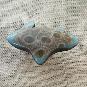 May include: A brooch featuring a central piece of fossilized coral with a distinct circular pattern in shades of brown and gray, framed by a smooth, polished light blue resin border with a dark brown base layer, shaped like a stylized leaf.