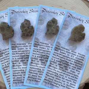 Set of 24 Petoskey Stone Magnet with Souvenir Card - Wedding Favors - Party Favors