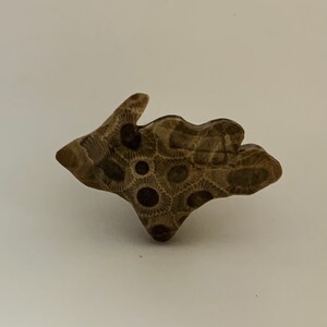 May include: A brown and black fossilized coral in the shape of a state of Michigan.