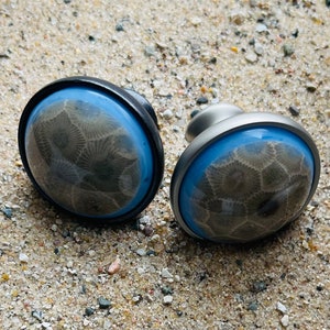 May include: Two round cabinet knobs with a blue background and a fossilized coral design. The knobs are made of metal and have a silver finish.