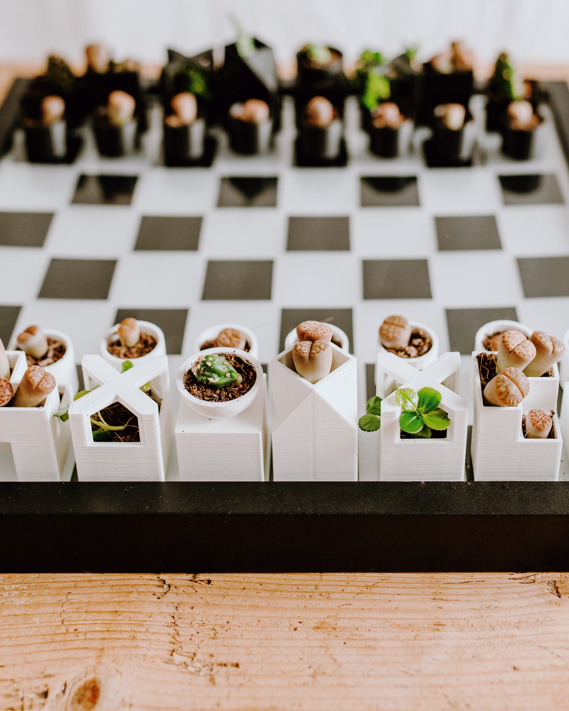 Chess set, Forest vs Flowers chess, themed chess set, botanical chess,  nature gifts, unique chess, chess set puzzle board, encasing nature