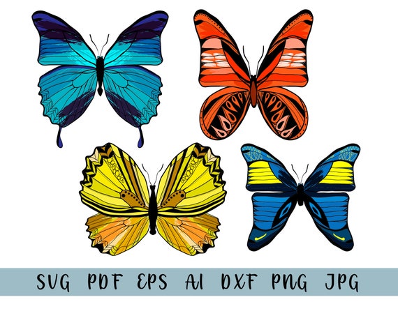 Free Free 80 Orange Butterfly Svg SVG PNG EPS DXF File