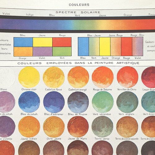 1933 Antique Shell Chart Print Larousse Large Size Sealife Etsy Norway