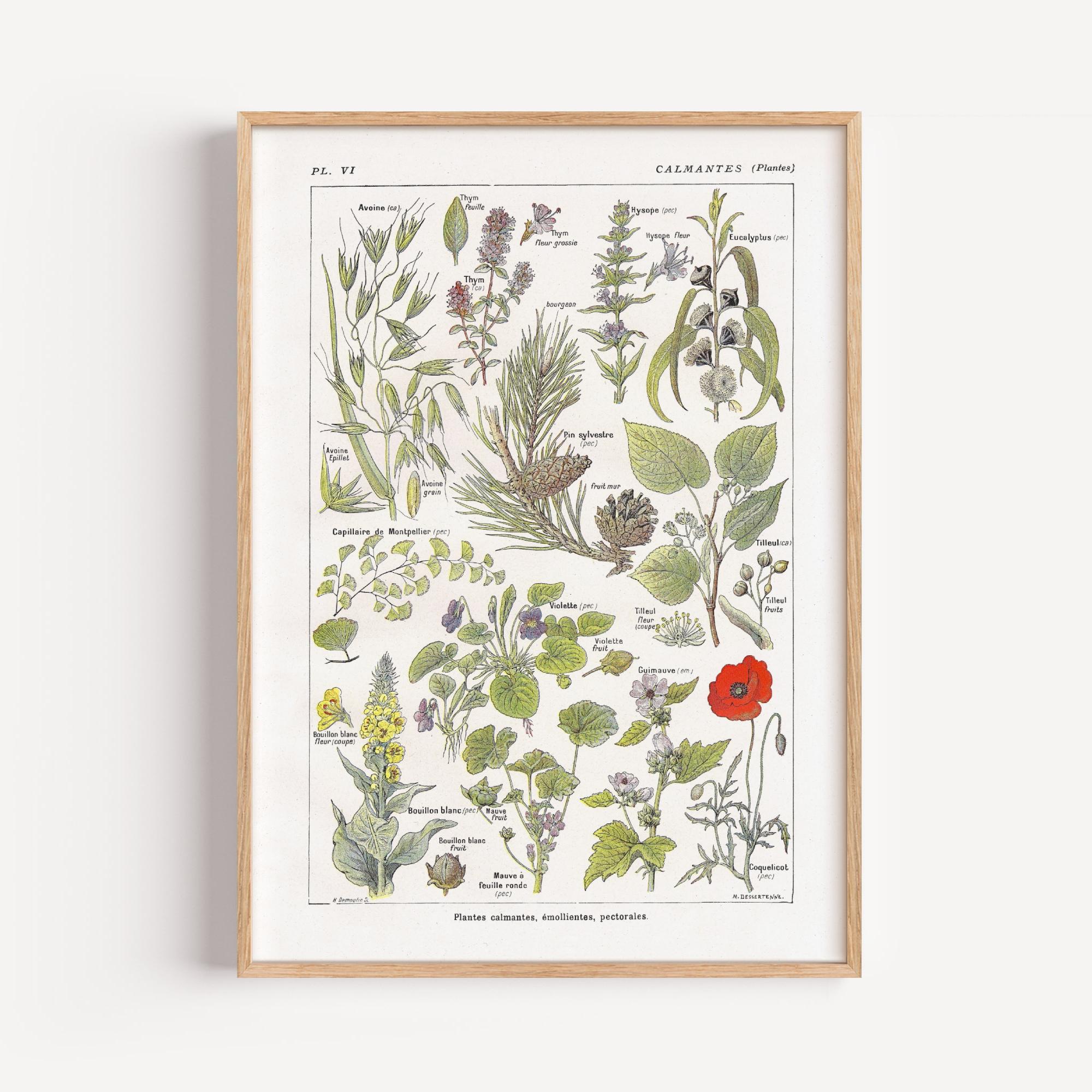 Tableaux et posters Shabby chic • Page 2 • ® - Nous vivons pour