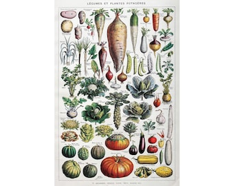 1949 VEGETABLES Original vintage poster Antique authentic print Illustrated plate 1940s Vegetables Vegetables