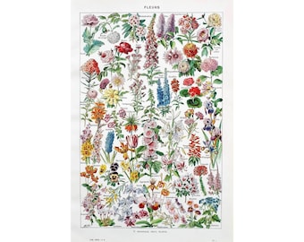 1949 FLOWERS Original vintage poster Antique authentic print Illustrated plate