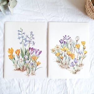 1964 Conjunto de 2 platos botánicos ilustrados vintage, Cartel floral antiguo, Cartel de ilustración de flores original *Crocus Jacinte 1 y 2"