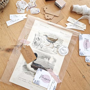 以下が含まれることがあります： ヴィンテージの鳥のイラストプリントは、透明なプラスチック製の袋に丁寧に梱包されています。袋には、「Merci！」と書かれた茶色の紙タグと、葉のデザインが施された小さな茶色の紙タグが付いています。「ありがとう！」と「Merci！」と書かれた小さな茶色の紙タグがプリントされています。プリントは木製の表面に置かれています。