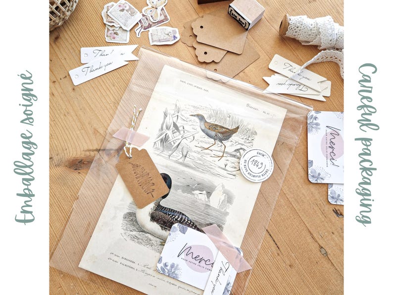 以下が含まれることがあります： ヴィンテージの鳥のイラストプリントは、透明なプラスチック製の袋に丁寧に梱包されています。袋には、「Merci！」と書かれた茶色の紙タグと、葉のデザインが施された小さな茶色の紙タグが付いています。「ありがとう！」と「Merci！」と書かれた小さな茶色の紙タグがプリントされています。プリントは木製の表面に置かれています。