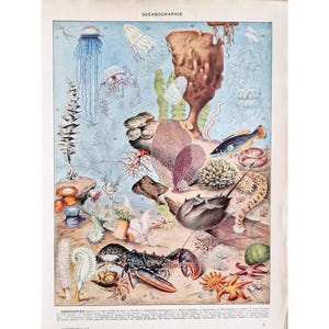 1930 Cartel antiguo del océano, Cartel ilustrado vintage, Cartel antiguo original, Ilustración, Página del diccionario, Oceanografía