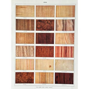 Peut inclure: Un tableau montrant différents types de motifs de grain de bois. Le tableau est intitulé "BOIS" en haut et comprend les noms des types de bois en français. Les types de bois comprennent : Frêne, Hêtre, Merisier, Noyer, Noyer Courbé, Orme, Chêne, Palissandre, Acajou, Platane,  Palma, Rose  Bois, Sapin, Sycomore, Tilleul, Teck, Violette.