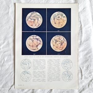 1920 Astronomie-Platte „MARS“, alte Karte des Planeten Mars, Vintage-Plakat, alte Astronomie-Illustration, Gesichter des Mars