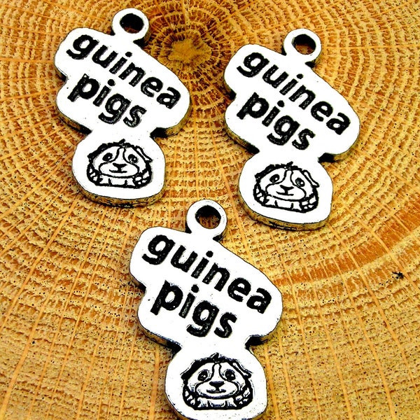 Guinea pigs lot of 3 pieces