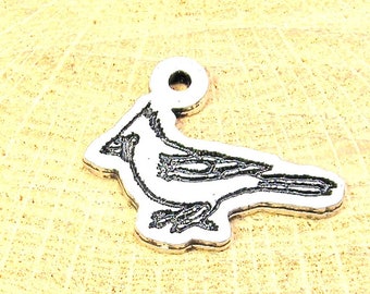 Kardinal Charm Vogelbeobachter