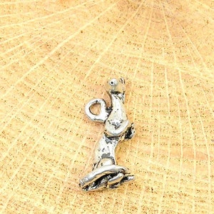 Ferret charm
