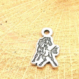 Dozen Mustang horse running stallion mascot  charm