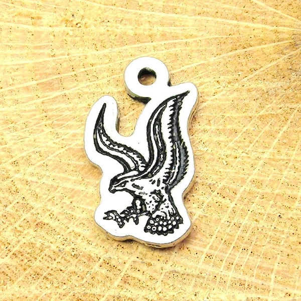 Eagles Hawks  Falcons mascot charm