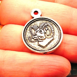 WHOLESALE 15 Rams mascot  charm