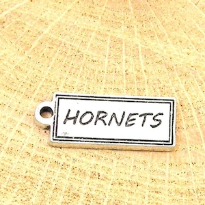 Hornets tab  mascot  team charm