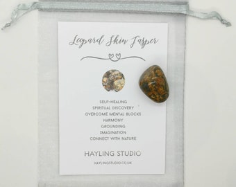 Leopard Skin Jasper Gemstone with Info Card and Gift Bag - A Grade Crystal - Leopard's Skin Jasper Gift - Hayling Studio Tumbled Stone