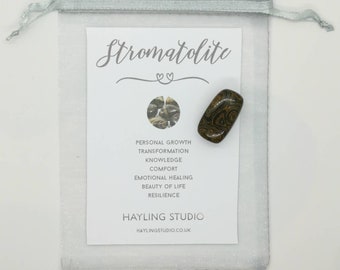 Stromatolite Gemstone with Info Card and Gift Bag - A Grade Stromatolite Crystal - Stromatolite Gift - Hayling Studio Tumbled Stone