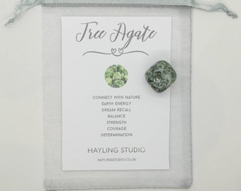 Tree Agate Gemstone with Info Card and Gift Bag - A Grade Tree Agate Crystal - Tree Agate Gift - Hayling Studio Tumbled Stone