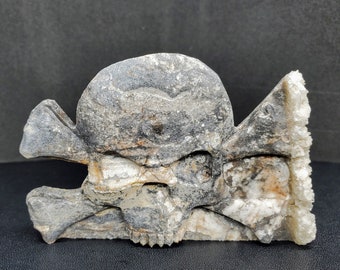 Skull and bones carving, Crystal Skull, Skull statue, Skull home decor, Gifts for dad, Hand carved gemstone, Stone skull, Horror art