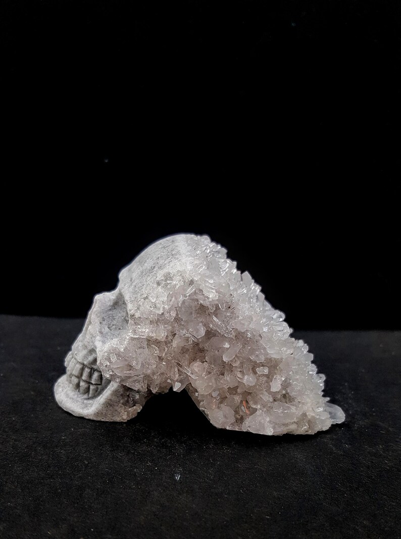 Collectibles Horror Goth home decor Gemstone skull Gray ...