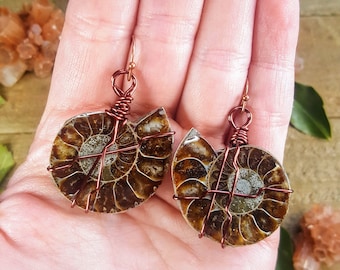 May include: A pair of fossil ammonite earrings. Each earring features a polished, brown and tan ammonite fossil, intricately wrapped with copper wire. The earrings have copper-colored ear wires and a spiral design.