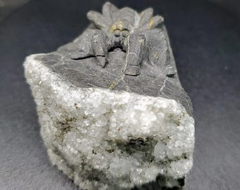 Araignée en quartz et en pyrite, arachnide, insecte, entomologie, creepy crawly, idée cadeau unique, décoration d'horreur gothique, bizarreries et curiosités