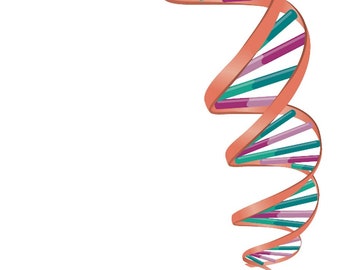 DNA Tattoos