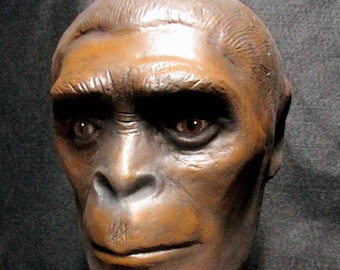 Bust of Primitive Man