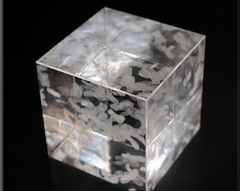 Human Chromosome Cube